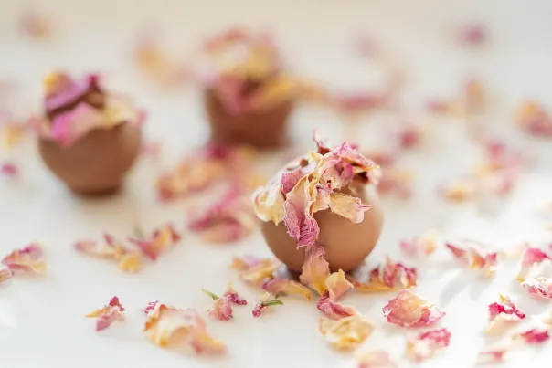 JokerBet Casino Apl Android/iOS